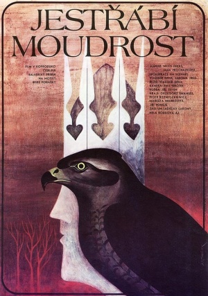 Jestrábí moudrost