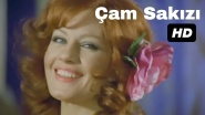 Çam Sakizi