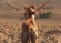 Febrero, el miedo de los galgos