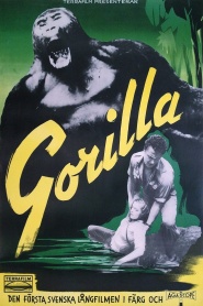 Gorilla Safari