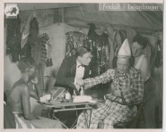 Fridolf i lejonkulan