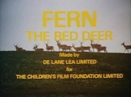 Fern, the Red Deer