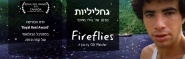 Fireflies
