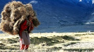 Himalaya, la terre des femmes
