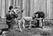 Le maître du Pérou
