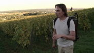 La clef des terroirs