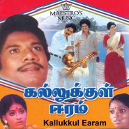 Kallukkul Eeram