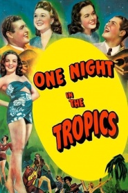 One Night in the Tropics