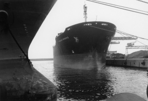 Les hommes du port