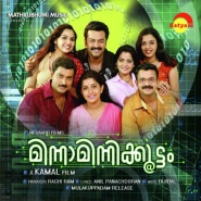 Minnaminnikkoottam
