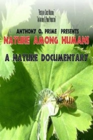 Nature Among Humans: Animal Impact