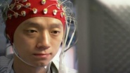 The Brain