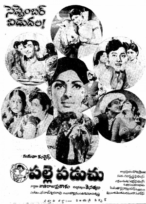 Palle Paduchu