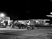 The Asphalt Fever