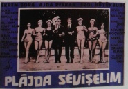 Plajda Seviselim