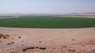 Planet for Sale: The New World Agricultural Order