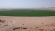 Planet for Sale: The New World Agricultural Order