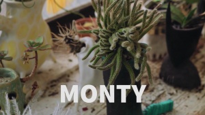 Monty