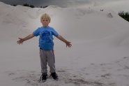 Weg met Willem