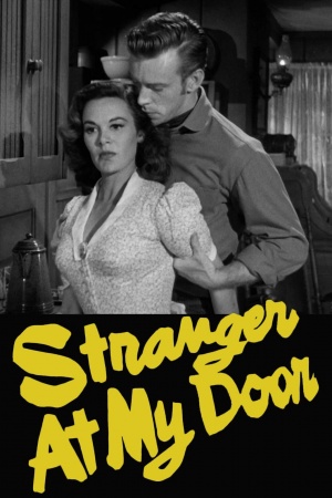 Stranger at My Door