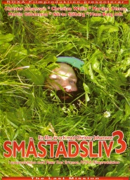 Småstadsliv 3