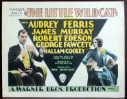 The Little Wildcat