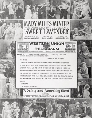Sweet Lavender