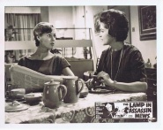 The Lamp in Assassin Mews