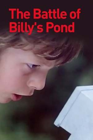 The Battle of Billy's Pond