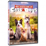 The Secret Life of Cats & Dogs