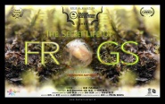 The Secret Life of Frogs
