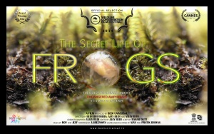 The Secret Life of Frogs