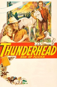 Thunderhead: Son of Flicka