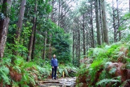 The Muslim Tourist: Discovering Ise-Shima