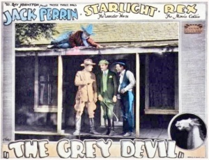The Grey Devil