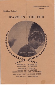 Warm in the Bud