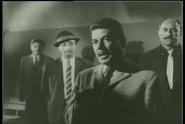 Zorba