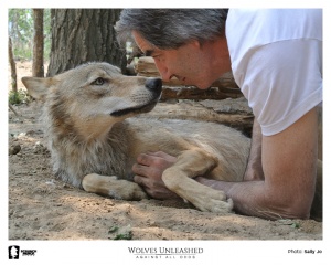 Wolves Unleashed: Against All Odds