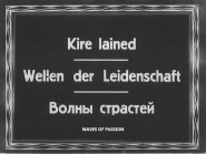 Wellen der Leidenschaft
