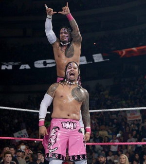 WWE Hell in a Cell