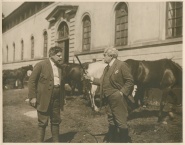 The Young Nobleman
