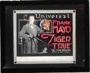 Tiger True