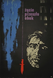 Zhizn proshla mimo