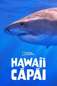 Sharks of Hawaii