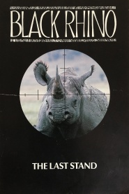 Black Rhino: The Last Stand