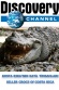 Killer Crocs of Costa Rica