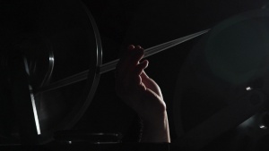 Life in the Dark