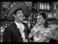 Dos gallos de pelea