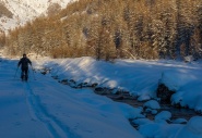 Vivre avec les loups