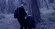 Bosq_Sintra_18